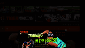 What Tigermuaythai.com website looked like in 2020 (4 years ago)