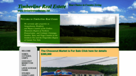 What Timberlinerealestate.net website looked like in 2020 (4 years ago)