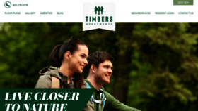 What Timbersapthomes.com website looked like in 2020 (4 years ago)