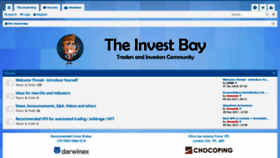 What Theinvestbay.com website looked like in 2020 (4 years ago)
