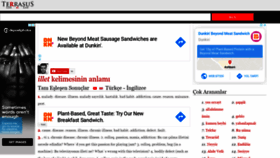 What Terrasus.com website looked like in 2020 (4 years ago)
