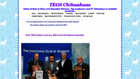 What Tegschihuahua.com website looked like in 2020 (4 years ago)