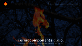 What Termocomponents.com website looked like in 2020 (4 years ago)
