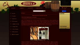 What Trivin-sa.fr website looked like in 2020 (4 years ago)