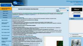 What Tepro.ru website looked like in 2020 (4 years ago)