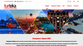What Turteka.com website looked like in 2020 (4 years ago)