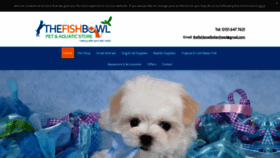 What Thefishbowlwirral.co.uk website looked like in 2020 (5 years ago)
