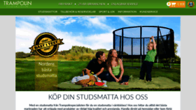 What Trampolinspecialisten.se website looked like in 2020 (4 years ago)