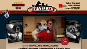 What Thevillageanimalclinic.com website looked like in 2020 (4 years ago)