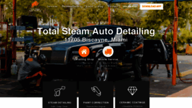 What Tsccarwash.com website looked like in 2020 (4 years ago)