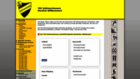 What Tsv-settmarshausen.de website looked like in 2020 (4 years ago)