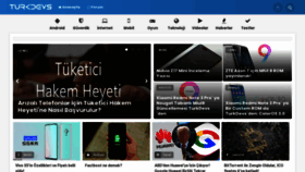 What Turkdevs.net website looked like in 2020 (4 years ago)