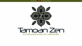What Tamoan.com website looked like in 2020 (4 years ago)