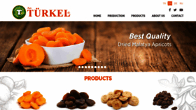What Turkelapricot.com website looked like in 2020 (4 years ago)