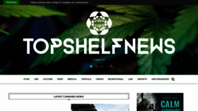 What Topshelf.news website looked like in 2020 (4 years ago)