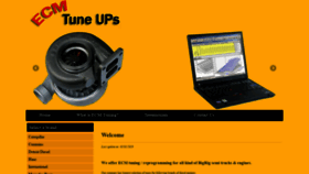 What Truckecmtunes.com website looked like in 2020 (4 years ago)