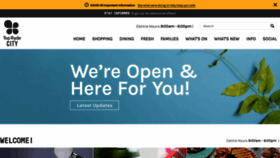 What Toprydecity.com.au website looked like in 2020 (5 years ago)