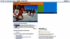 What Terminyferii.pl website looked like in 2020 (4 years ago)