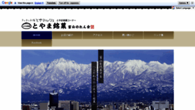 What Toyamameika.com website looked like in 2020 (4 years ago)