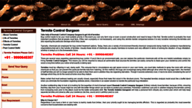 What Termitecontrolgurgaon.co.in website looked like in 2020 (4 years ago)