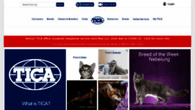 What Tica.org website looked like in 2020 (4 years ago)