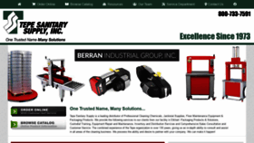 What Tepesanitary.com website looked like in 2020 (4 years ago)