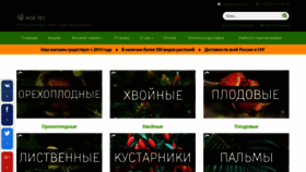 What Treeseed.ru website looked like in 2020 (5 years ago)