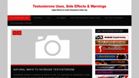 What Testosteroids.com website looked like in 2020 (4 years ago)