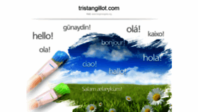 What Tristangillot.com website looked like in 2020 (3 years ago)