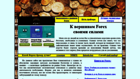 What To-the-tops-of-forex.com website looked like in 2020 (4 years ago)