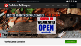 What Thebristolratcompany.co.uk website looked like in 2020 (3 years ago)