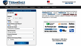 What Term4sale.com website looked like in 2020 (3 years ago)