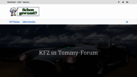 What Tommy-hilfigers.de website looked like in 2020 (4 years ago)