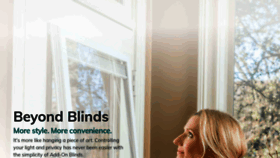 What Troublefreeblinds.com website looked like in 2020 (4 years ago)