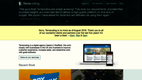 What Terracoding.com website looked like in 2020 (4 years ago)