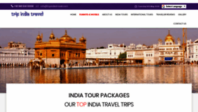 What Tripindiatravel.com website looked like in 2020 (4 years ago)