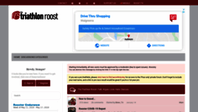 What Triroost.com website looked like in 2020 (4 years ago)