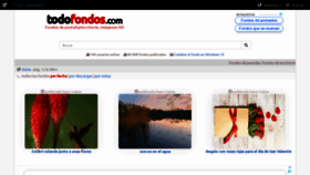 What Todofondos.com website looked like in 2020 (3 years ago)