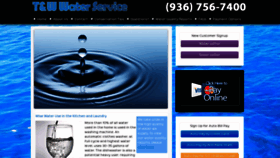 What Twwaterservice.com website looked like in 2020 (3 years ago)