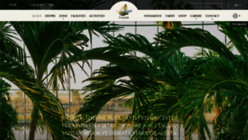 What Therme.ro website looked like in 2020 (3 years ago)
