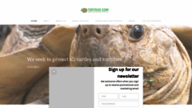 What Tortoise.com website looked like in 2020 (3 years ago)