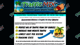 What Trafficmix.net website looked like in 2020 (3 years ago)