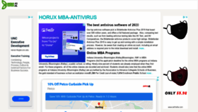 What Txapela.ru website looked like in 2020 (3 years ago)