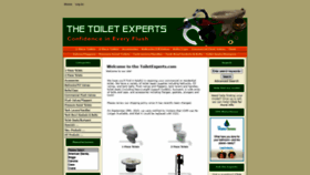 What Toiletexperts.com website looked like in 2020 (3 years ago)