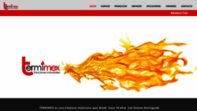 What Termimex.com.mx website looked like in 2020 (3 years ago)