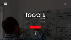 What Tecalis.com website looked like in 2020 (3 years ago)