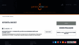 What Tkt.tzar.ru website looked like in 2020 (5 years ago)