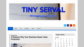 What Tinyserval.com website looked like in 2020 (3 years ago)