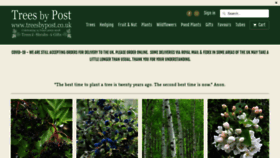 What Treesbypost.com website looked like in 2020 (3 years ago)