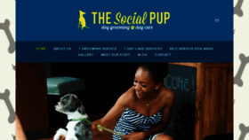 What Thesocialpup.com website looked like in 2020 (3 years ago)